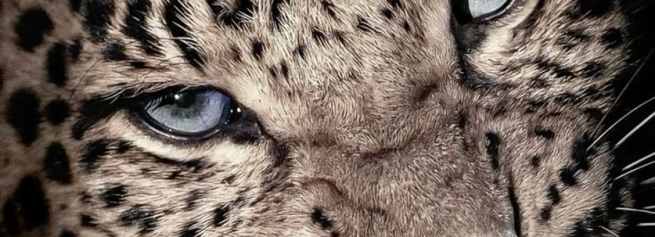 Scarlett Straggio Cover Image